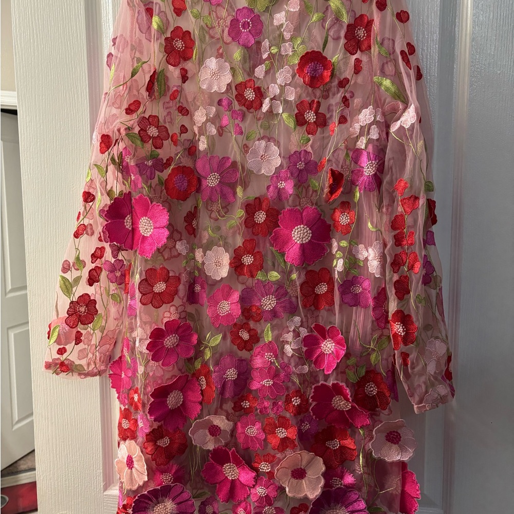 Finesse Pink Sheer Dress with Floral Embroidery